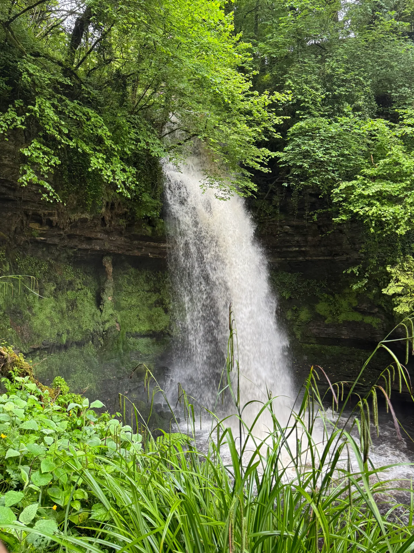 Glencar Waterfall