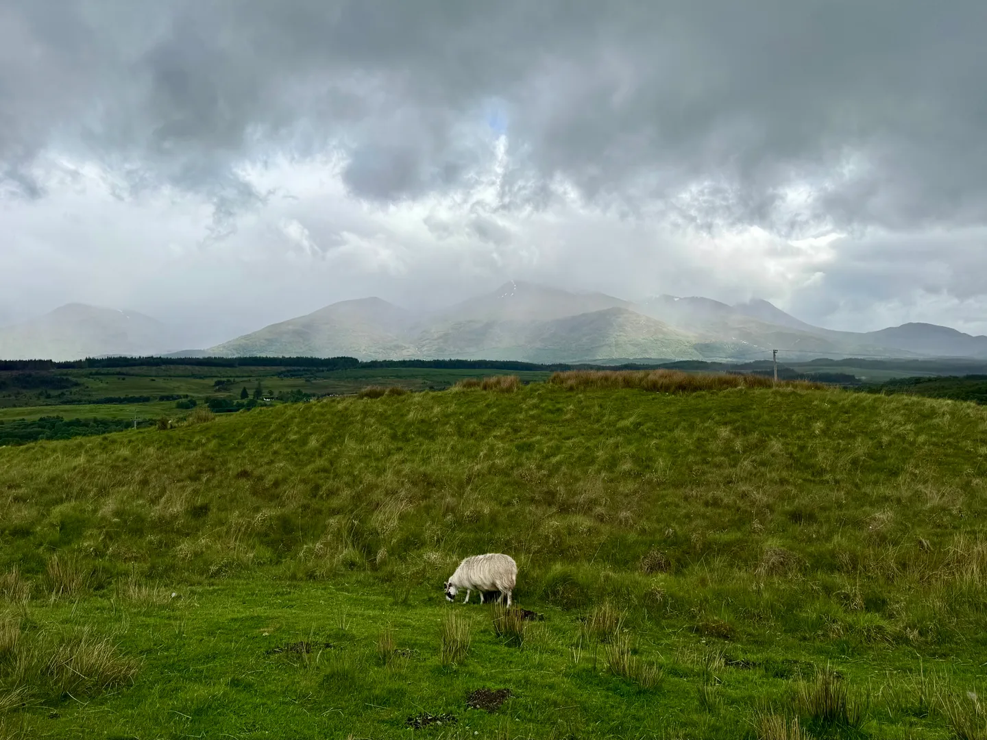 The Highlands