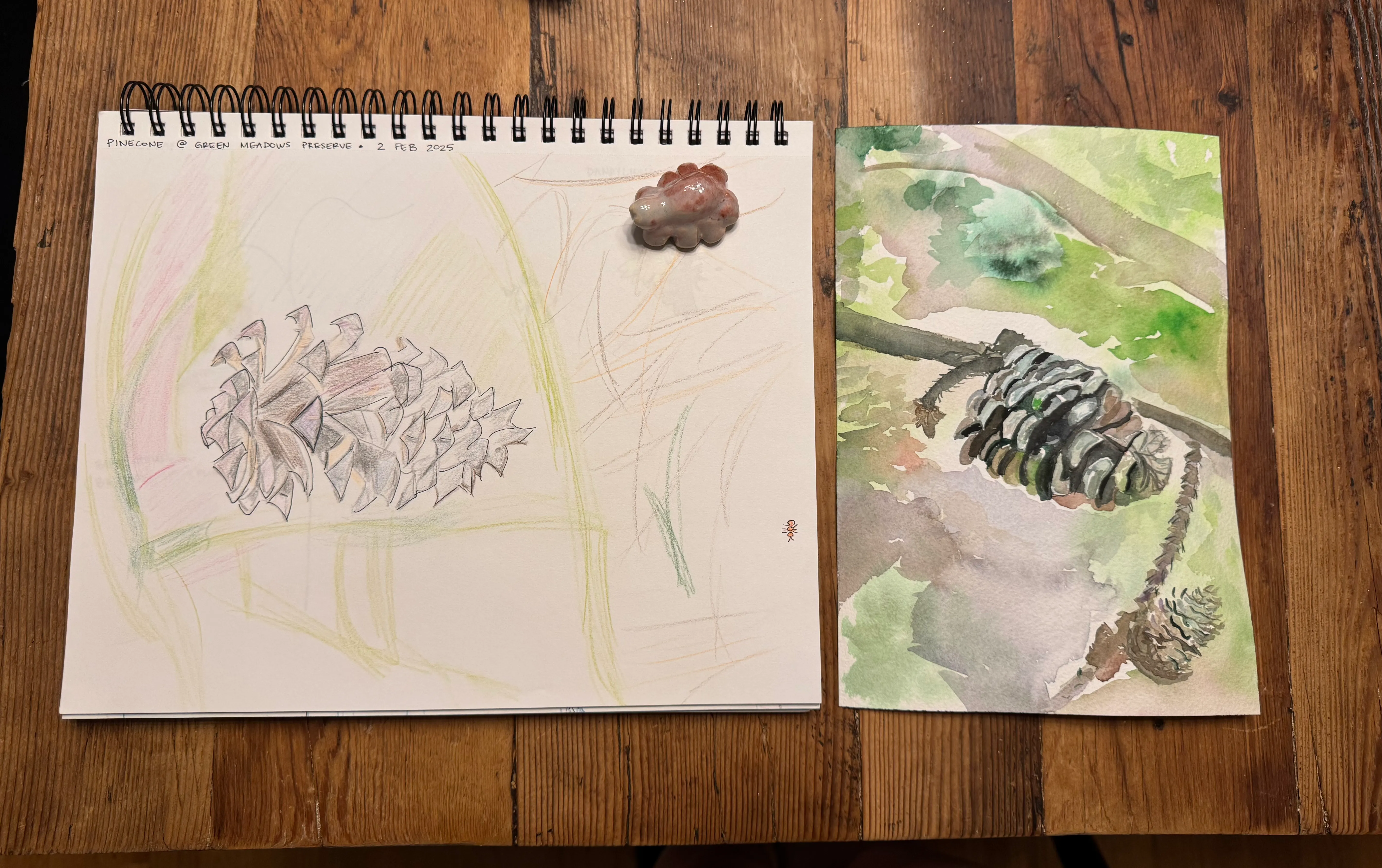 Pinecones