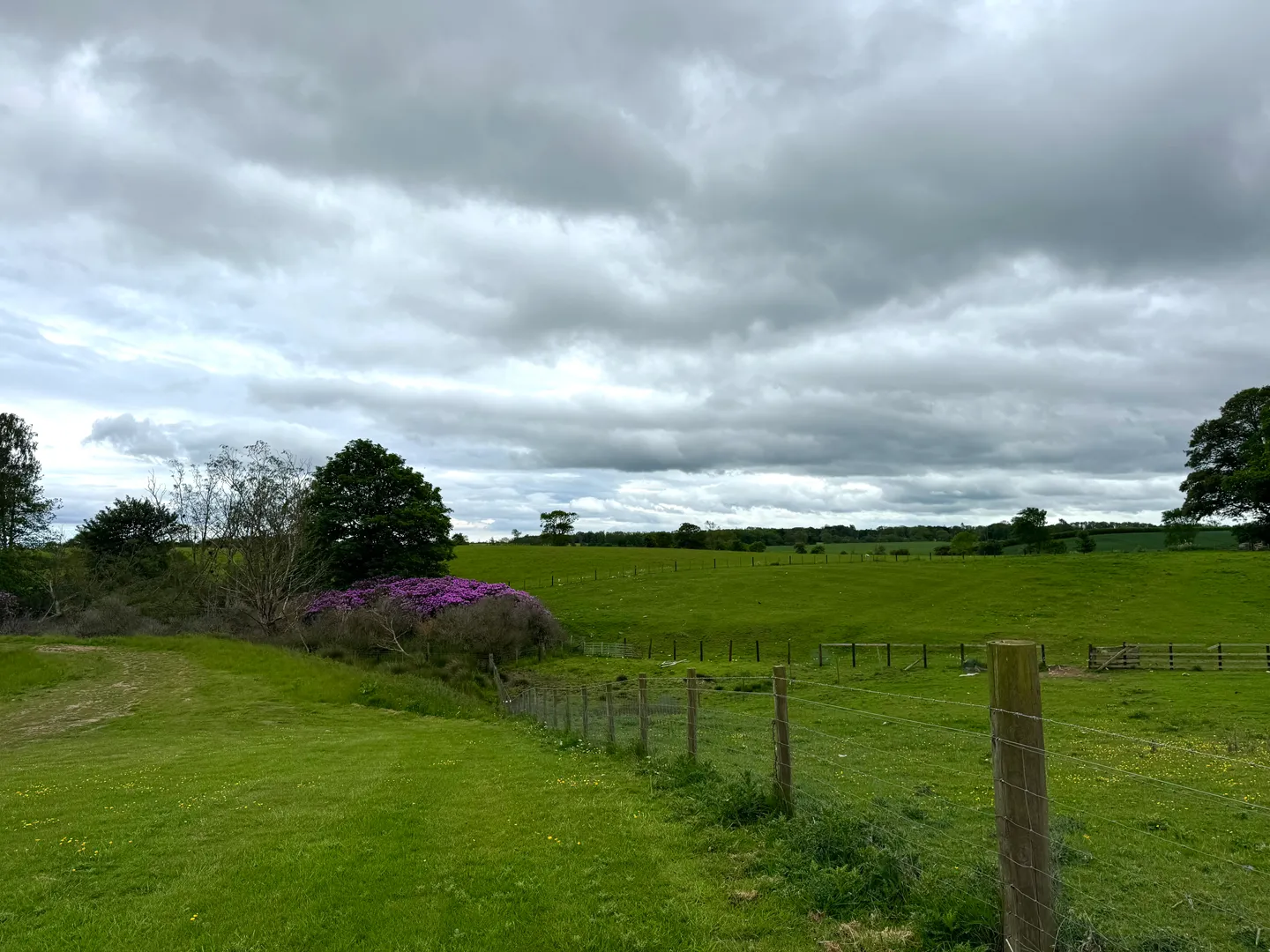 Tempus Farm