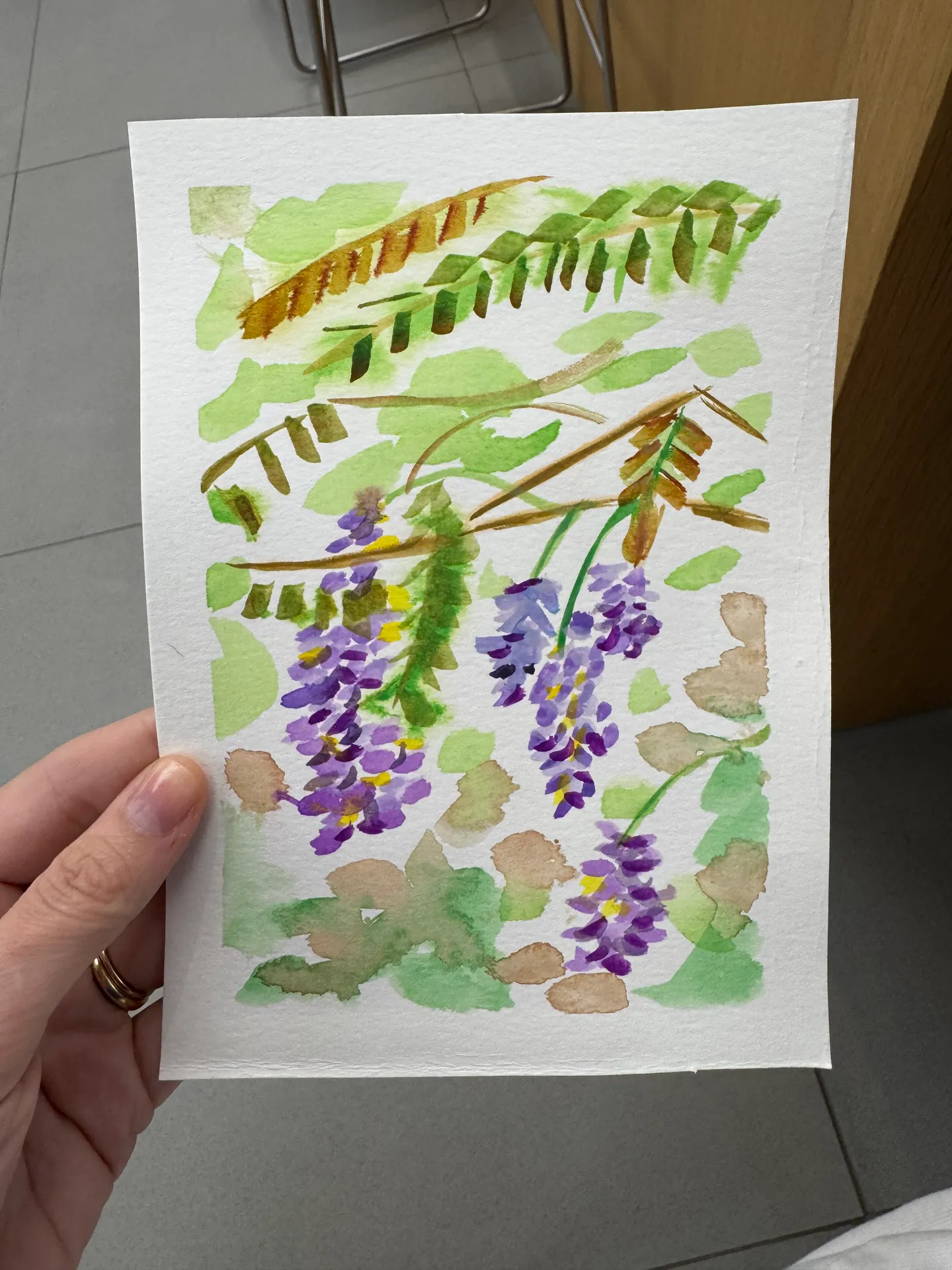 Wisteria at the Apple Store